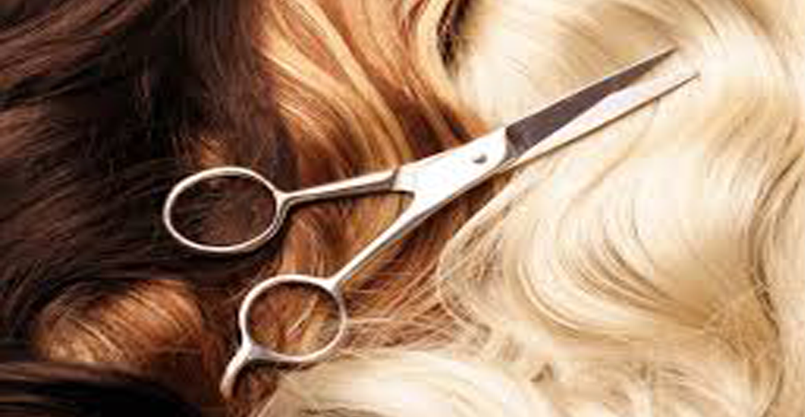 Hair Style - Equal Image Local Hair Experts